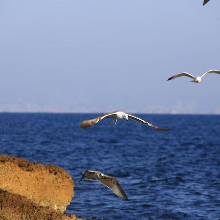 Amara Dos Daire Martigues Dış mekan fotoğraf